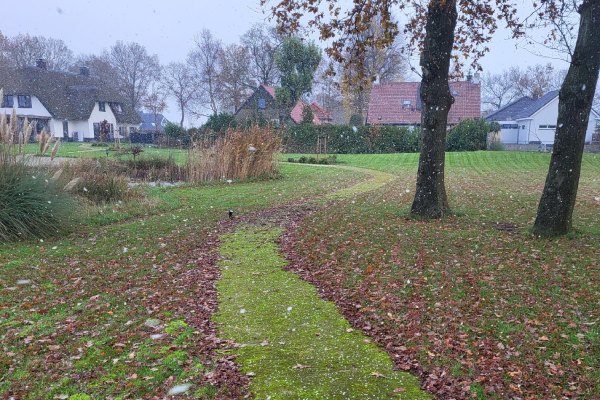 Met de onkruidmachine kunnen we eenvoudig de mos en groene aanslag op het halfverhardingpad verwijderen